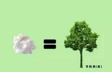从一张纸到一片森林—仙鹤股份的未竟之作