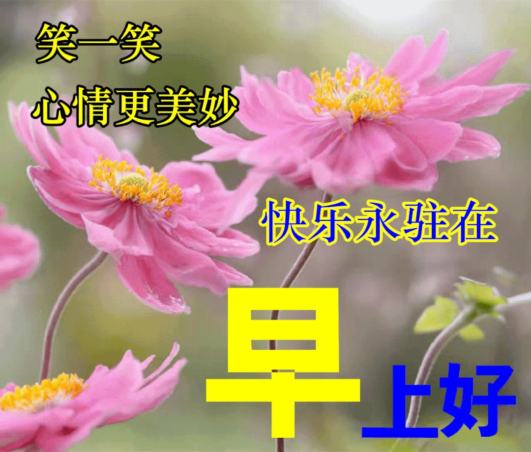 路面之下,被遗忘的承重 路面之下,被遗忘的承重