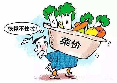 蔬菜价格连涨6周，不过是市场打了个喷嚏