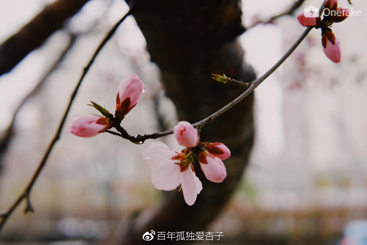 静待政策发力，在窗口期的沉寂中嗅到春天的气息