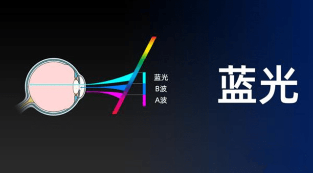 Pro 的底气，把专业活成一种习惯