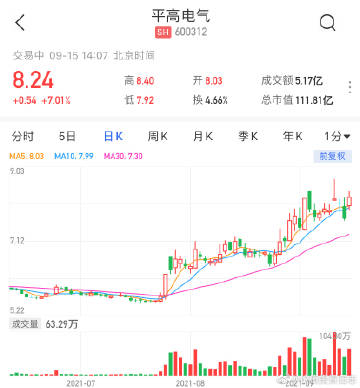 高平电子盘中异动的背后，概念加持与基本面现实的碰撞