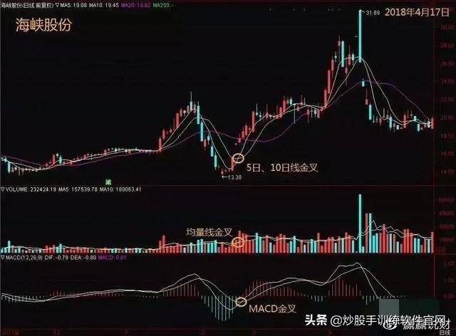 一次5.87%的股价飙升背后，是情绪共振，还是价值重估的序章？