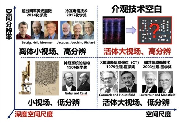 掌舵人密集调整，透视三大头部上市险企高管更迭风潮背后的战略抉择