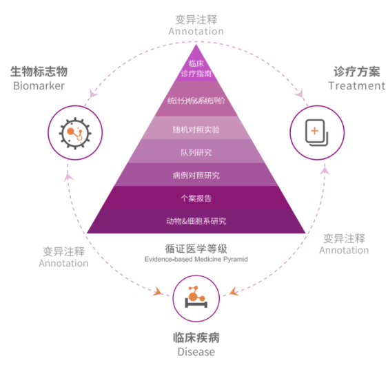 超越症状，治疗学的未来在于解码生命的系统复杂性