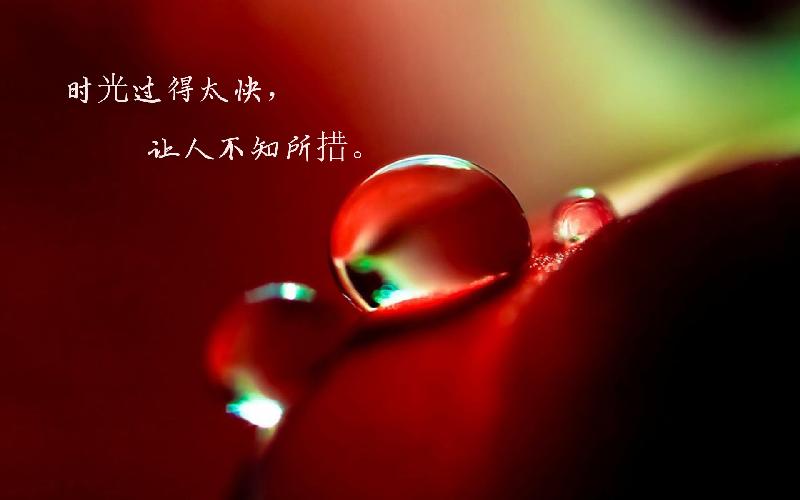 万份光阴万份心