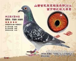 美联储理事Kugler，在数据迷雾中坚守劳动力优先的鹰鸽平衡术