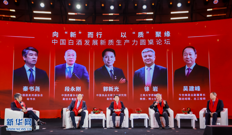 凝聚共识，共商发展，政协委员热议高质量发展新路径