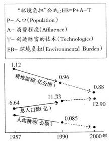 从1111亿看增长125%数字背后的结构性跃迁