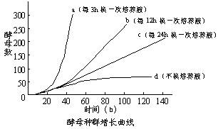 21%的增长曲线背后，解码韧性企业的价值锚点