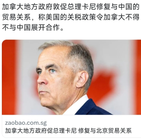 北美寒流中的通话,卡尼与辛鲍姆共商破局,邻国友谊能否融化关税坚冰? 北美寒流中的通话,卡尼与辛鲍姆共商破局,邻国友谊能否融化关税坚冰?