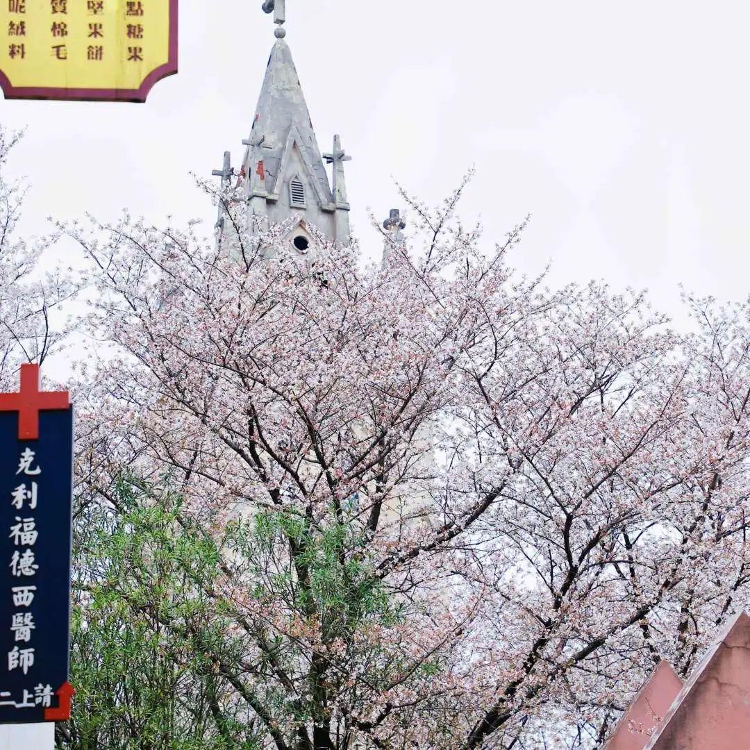 春日的信笺，致未来之我