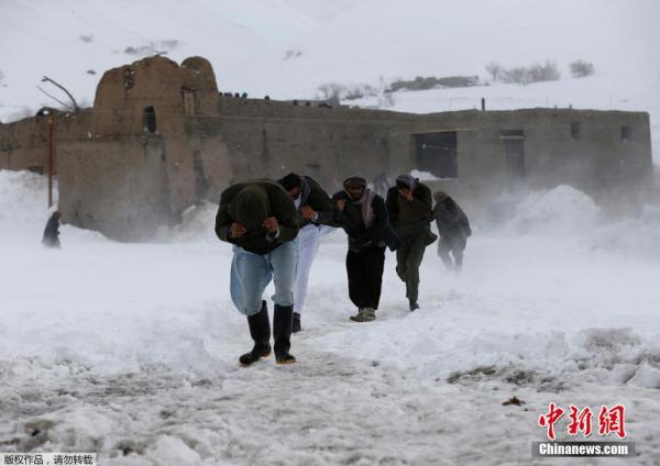 两天蒸发8.5%一场静默的财富雪崩与幸存者的冷思考