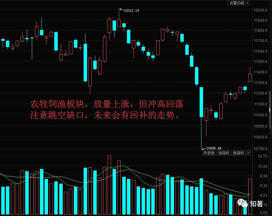 春江水暖鸡先知，4.53亿元鸡肉销售收入背后的民生温度与产业韧性