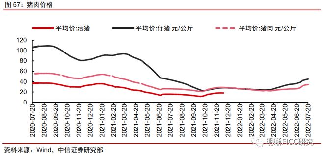 资本市场持续加力，为高质量发展注入活水与底气