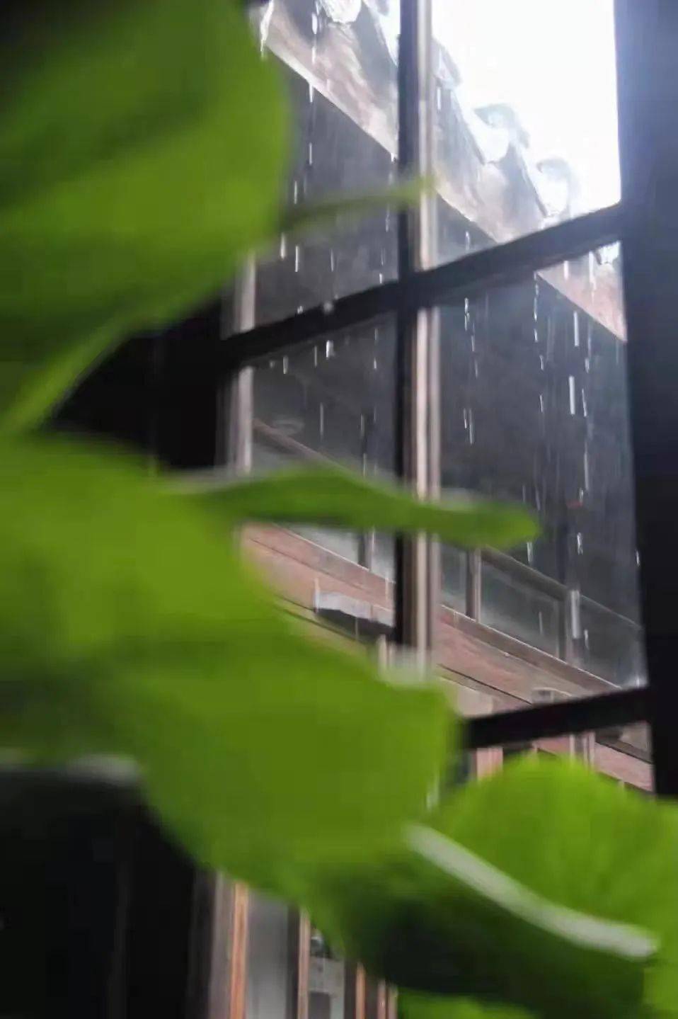 我第一次见老周，是在一个下雨天的午后