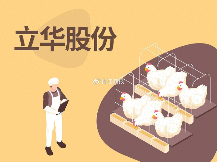 立华股份,一只鸡的坚韧,一个人的长跑 立华股份,一只鸡的坚韧,一个人的长跑
