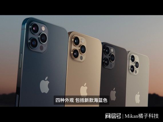 当手机超大杯举起取景器，一场关于V单的影像平权运动