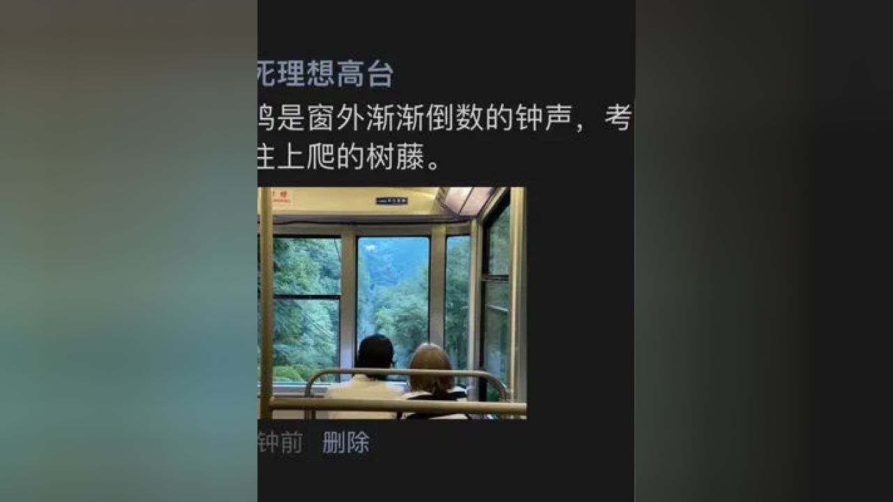 我在深夜赶论文的时候，总会听见蝉鸣。可这里是十七楼，窗外只有车流和高架桥，没有树。那声音是我自己的耳鸣