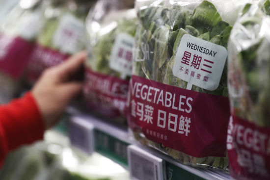 支持政策持续加码，为经济复苏注入强心针与长效药