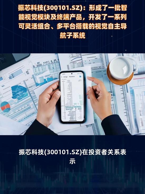 振芯科技内斗何时了