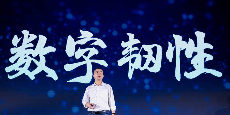 11.3%数字背后的韧性与暖意