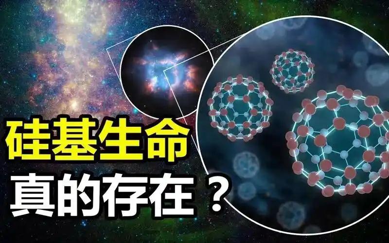 在硅基的至暗时刻,他们凿出了一道光 在硅基的至暗时刻,他们凿出了一道光
