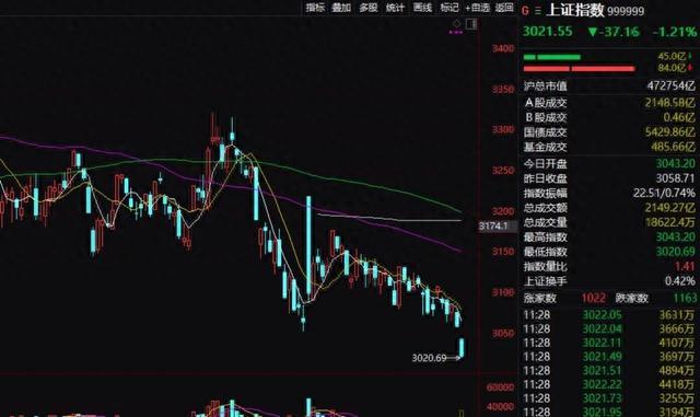 盘前股价大跌逾5%一场信心与价值的集体重估