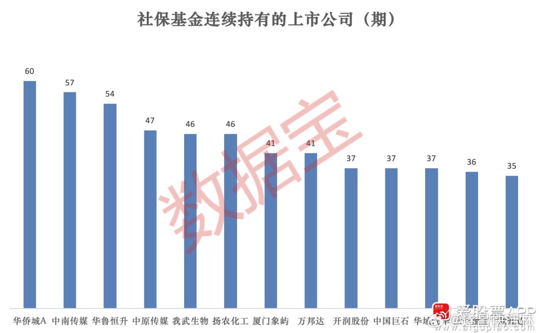 机构持仓大曝光！社保基金最新调仓路径，重仓压舱石与悄然布局的隐形冠军