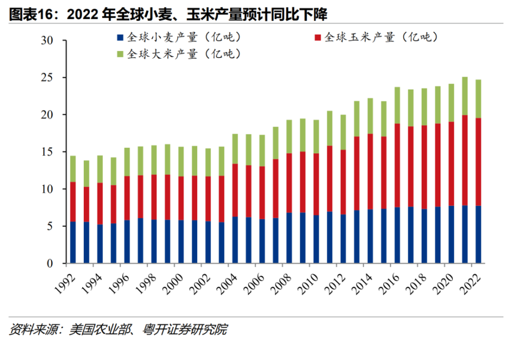 全球粮食价格升至两年新高，餐桌上的蝴蝶效应正在蔓延