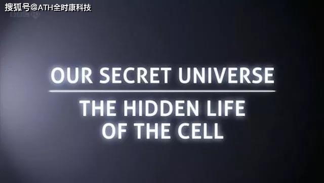 水光针的200亿暗战，谁在定义第一针的万亿想象？
