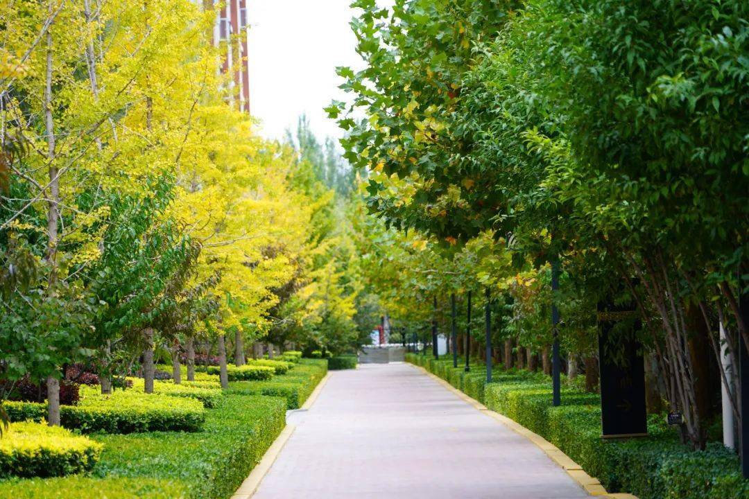 近处无风景
