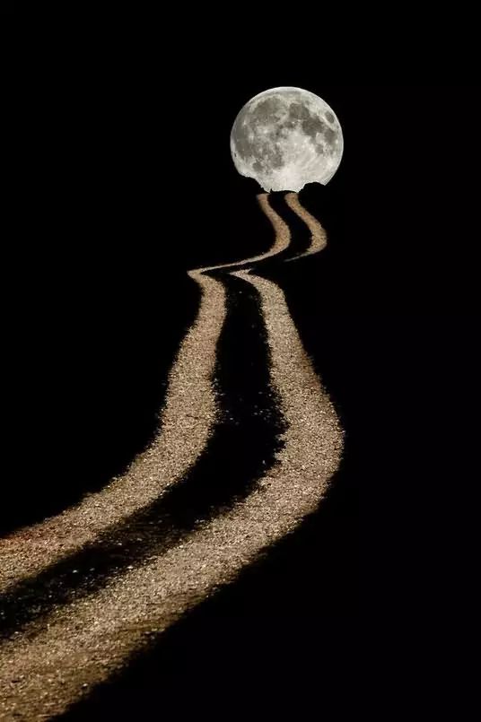 月光所至，皆是归途—论月出现资金流入背后的周期与人心
