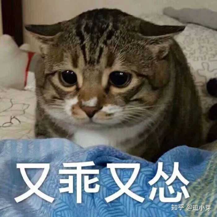 能算认怂吗？