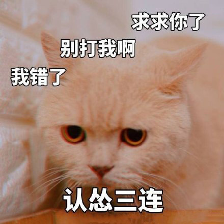 能算认怂吗？