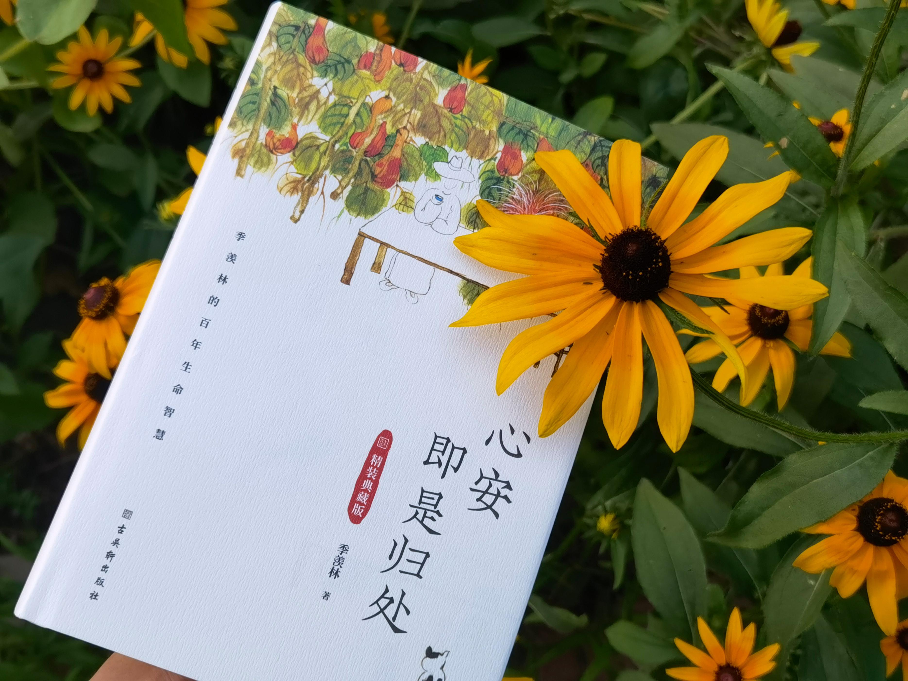 纵浪大化中，不喜亦不惧