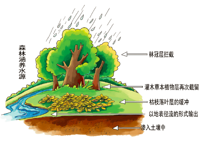 从独木到森林,构建创新应用生态的活水之道 从独木到森林,构建创新应用生态的活水之道