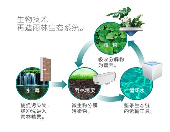 从独木到森林,构建创新应用生态的活水之道 从独木到森林,构建创新应用生态的活水之道