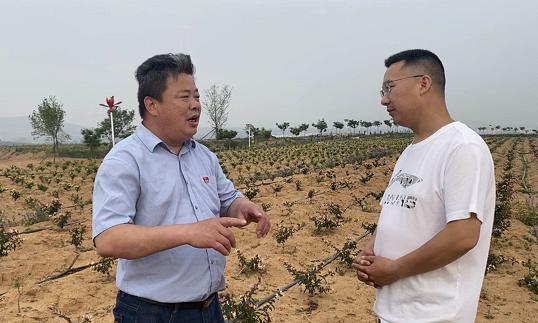 日照九银村镇银行股份有限公司被罚25万元，村镇银行合规经营再敲警钟