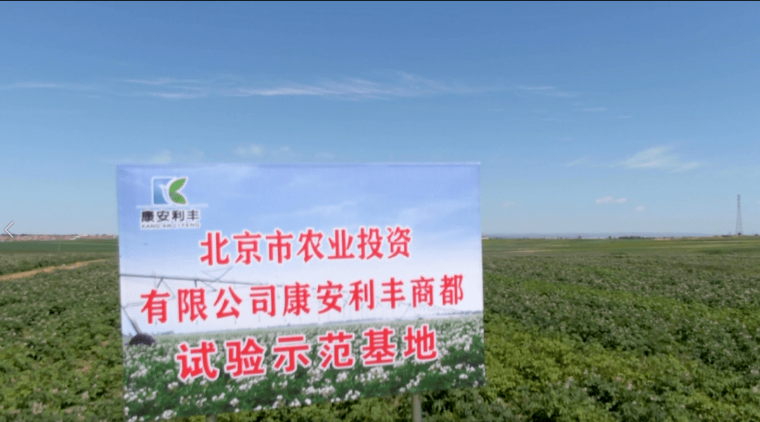红太阳今脱帽！云南国资盘活昔日农药化工龙头