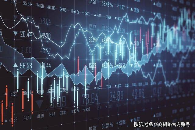 美股散户火力全开，当蚂蚁雄兵变成市场最不可预测的巨浪