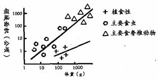 SK的进化，一场穿越周期的绿色长征