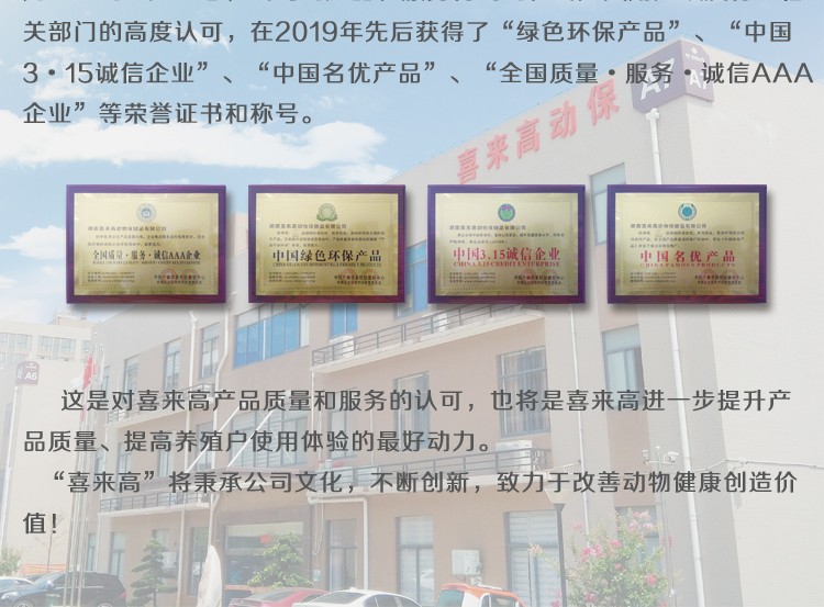 定增9.77亿元补血，是输血续命还是造血重生的序章？